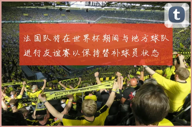 法国队将在世界杯期间与地方球队进行友谊赛以保持替补球员状态