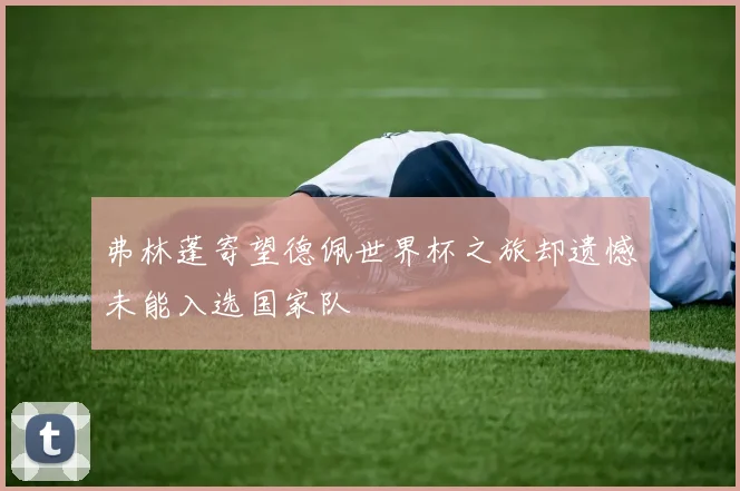 弗林蓬寄望德佩世界杯之旅却遗憾未能入选国家队