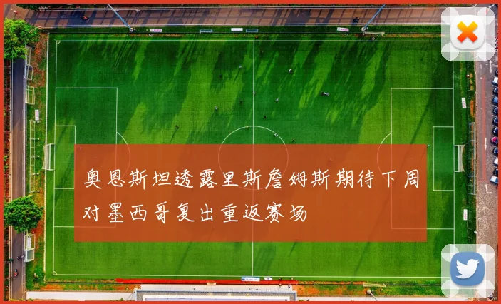 奥恩斯坦透露里斯詹姆斯期待下周对墨西哥复出重返赛场